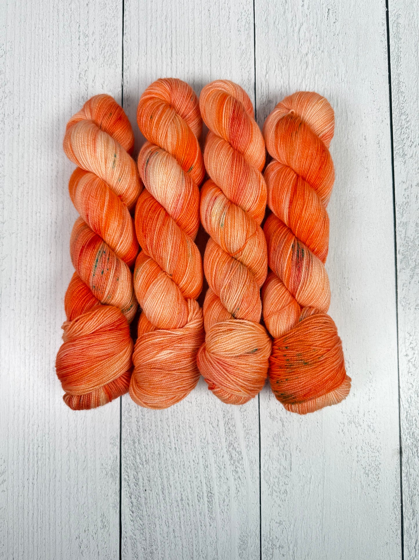 Coral Dreams (Apollo)